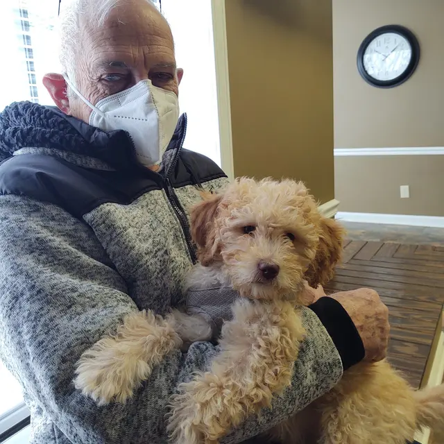 Bells Animal Clinic — customer photo 10