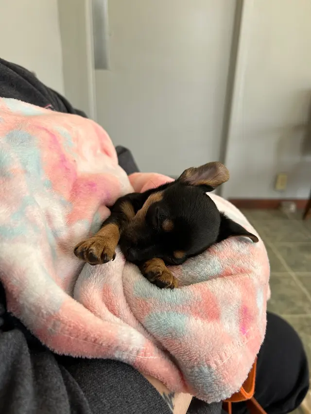 Eternity Animal Healthcare — customer photo 1