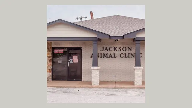 Jackson Animal Clinic — photo from the business 1