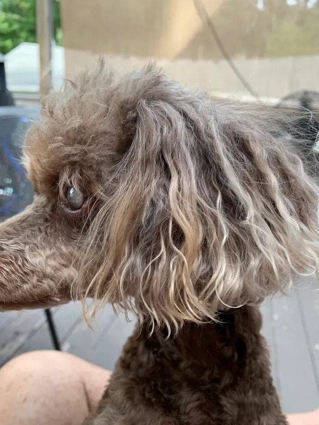 Jackson Animal Clinic — customer photo 8