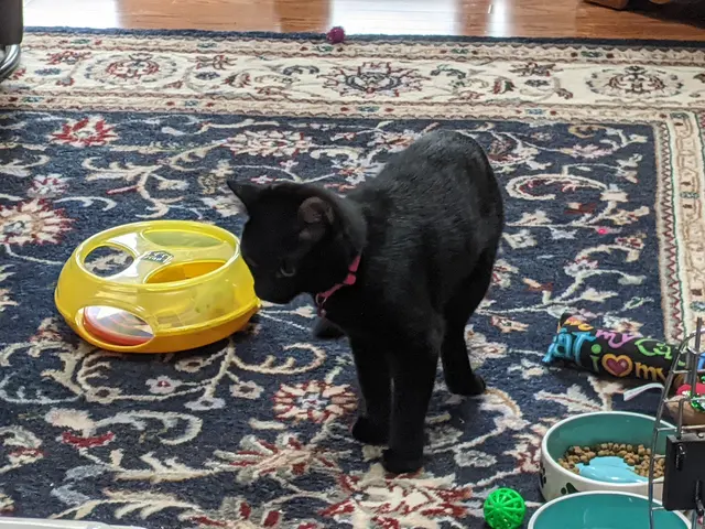 Jackson Animal Clinic — customer photo 9