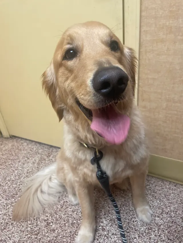 Jackson Animal Clinic — customer photo 2