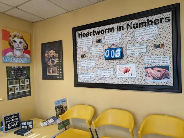 Jackson Animal Clinic — customer photo 3