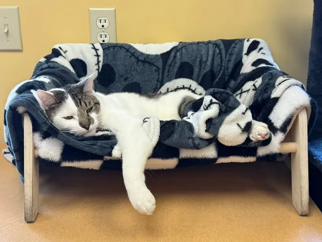 Jackson Animal Clinic — customer photo 5
