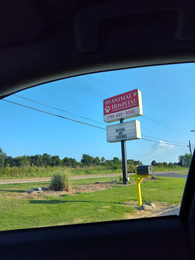 My Animal Hospital — customer photo 6