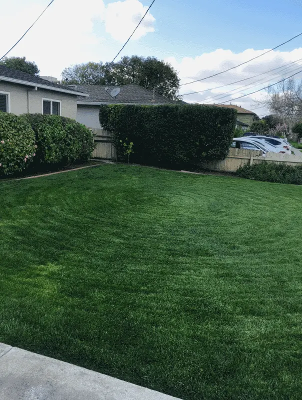 Gonzalez Gardening Bay Area — photo from the business 7