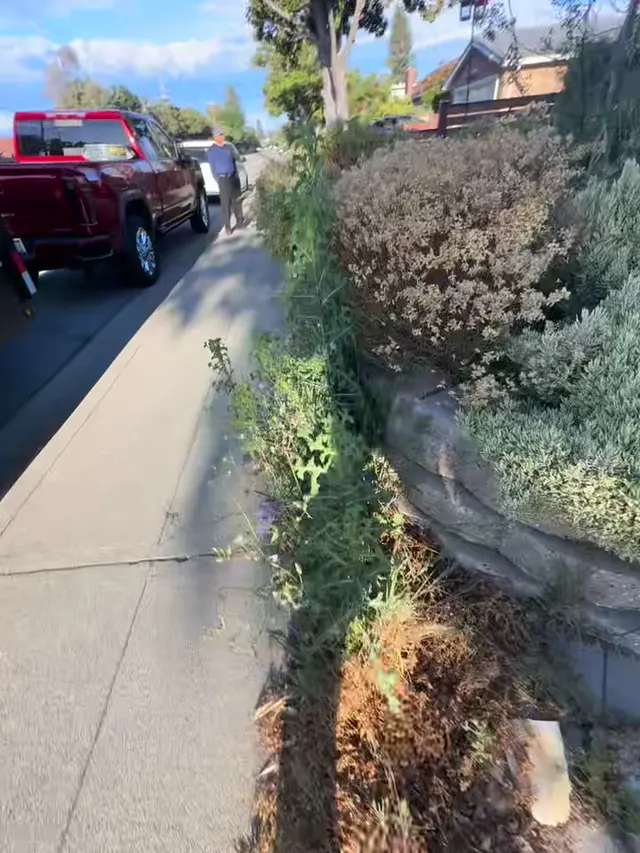 Customer photo of work by Gonzalez Gardening Bay Area, from Ylani Rabedeau's review