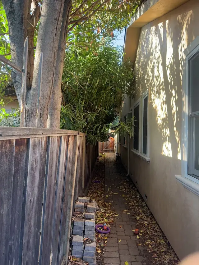 Gonzalez Gardening Bay Area — customer photo 12