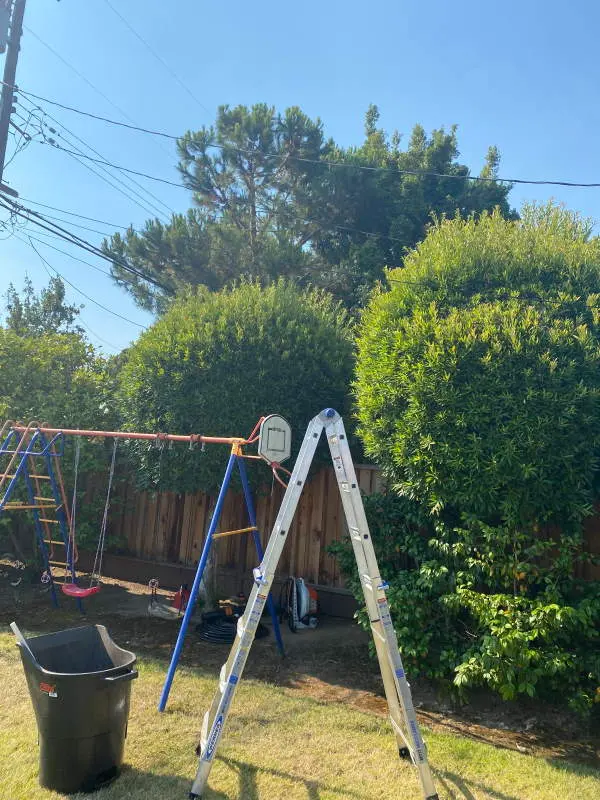 Gonzalez Gardening Bay Area — photo from the business 8