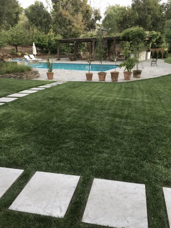 Gonzalez Gardening Bay Area — photo from the business 3