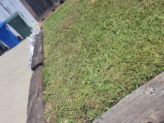 Customer photo from William's review