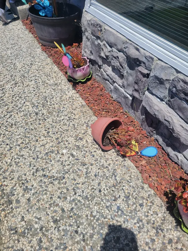 Customer photo from William's review
