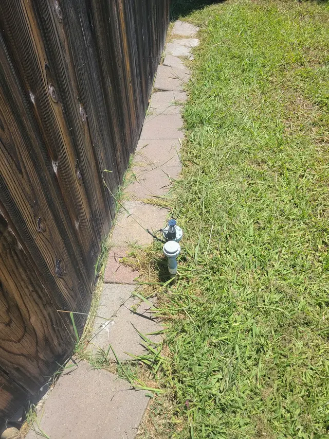 Customer photo from William's review