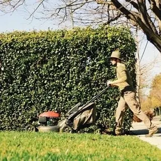 Vintage Lawn Service — photo from the business 5
