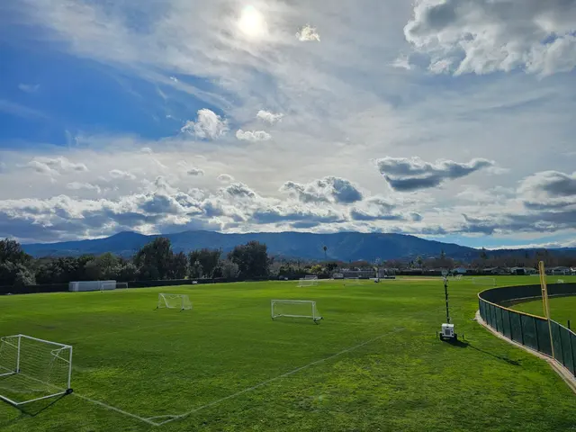 LOS GATOS LAWN AERATING — photo from the business 3