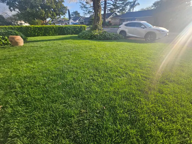 LOS GATOS LAWN AERATING — photo from the business 6