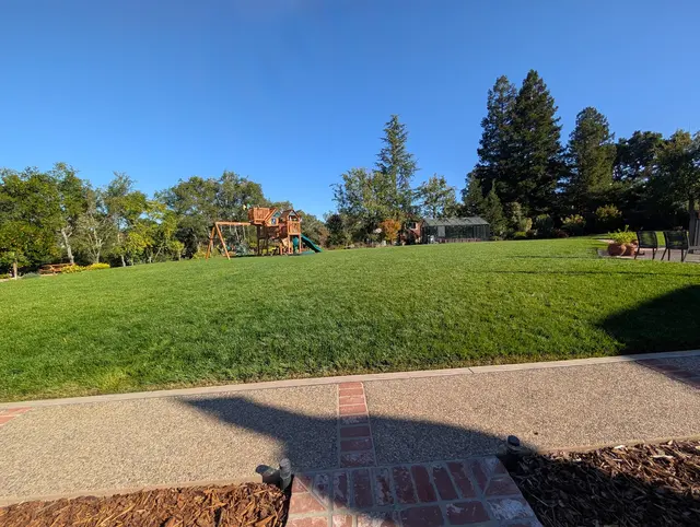 LOS GATOS LAWN AERATING — photo from the business 5