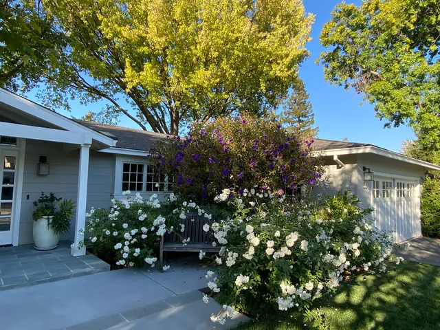 Jenn's Gardening — customer photo 9
