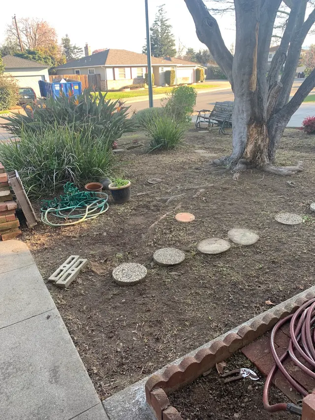 Customer photo from Connie's review