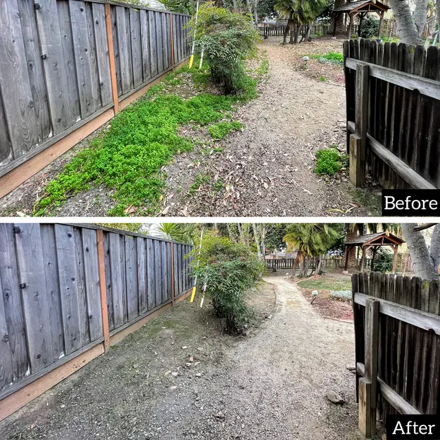 Adara Landscapes — photo from the business 9