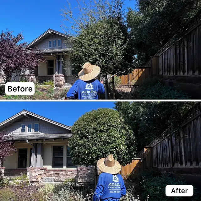 Adara Landscapes — photo from the business 2