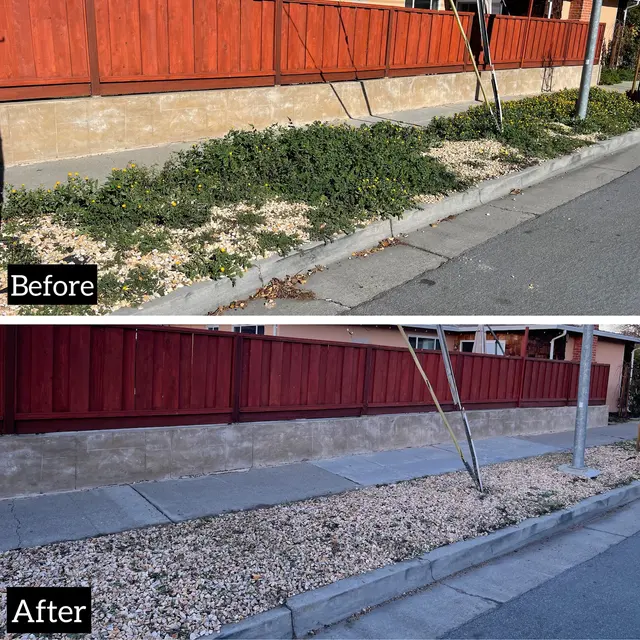 Adara Landscapes — photo from the business 8