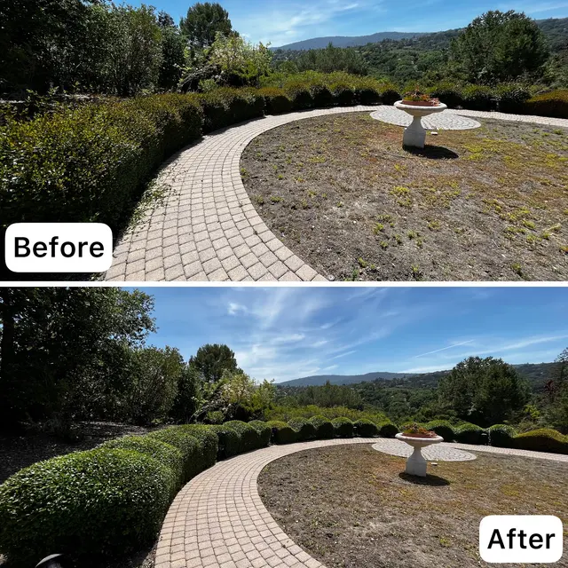 Adara Landscapes — photo from the business 10