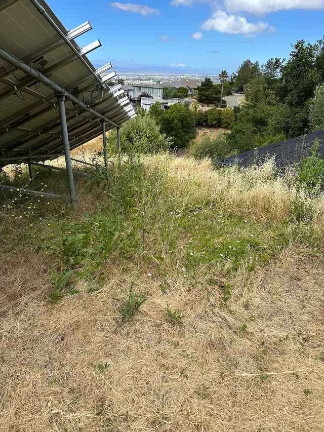 Bayleaf Lawn Care — photo from the business 6