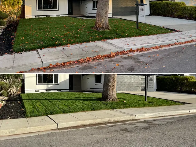Bayleaf Lawn Care — photo from the business 4