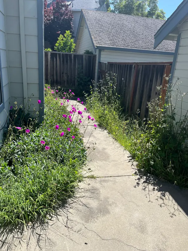 Customer photo of work by Bayleaf Lawn Care, from Gene Murden's review