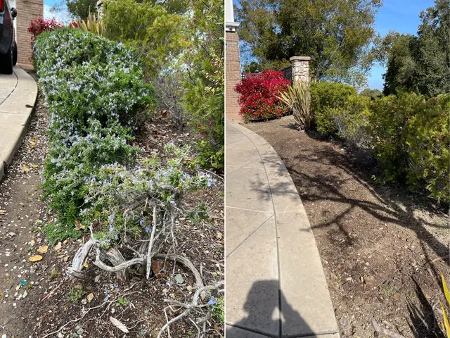 Bayleaf Lawn Care — photo from the business 1