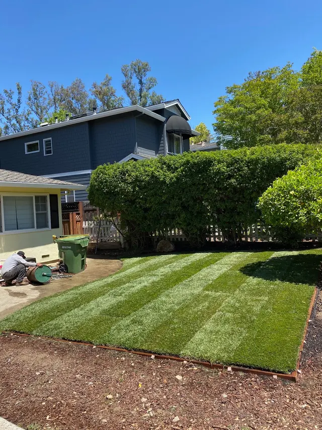 Quality Green Gardening and Landscaping — photo from the business 3