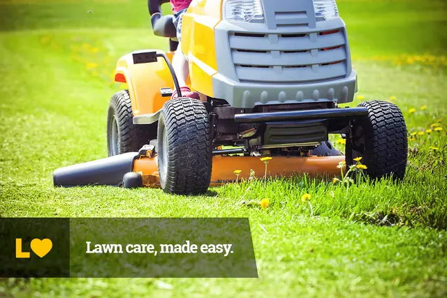 Lawn Love Lawn Care of San Jose — photo from the business 12