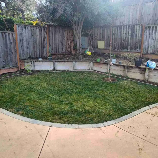Lawn Love Lawn Care of San Jose — photo from the business 6
