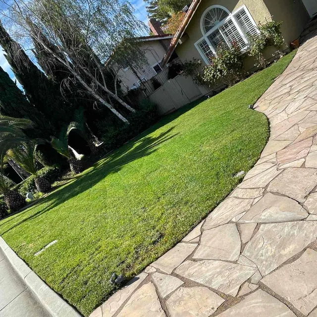 Lawn Love Lawn Care of San Jose — photo from the business 4