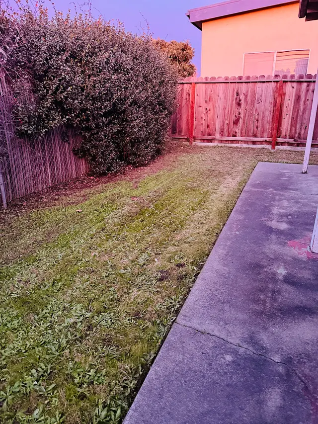 Lawn Love Lawn Care of San Jose — customer photo 9