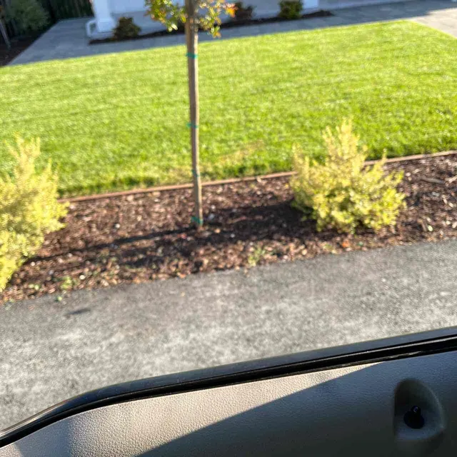 Lawn Love Lawn Care of San Jose — photo from the business 10