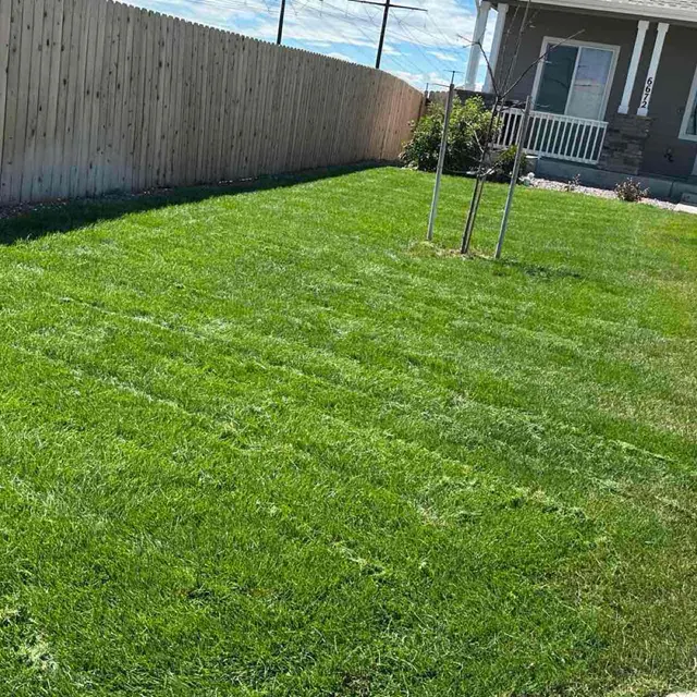 Lawn Love Lawn Care of San Jose — photo from the business 2