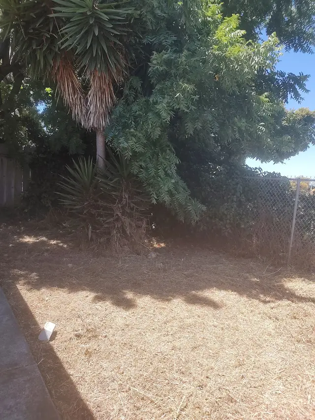 Lawn Love Lawn Care of San Jose — customer photo 7