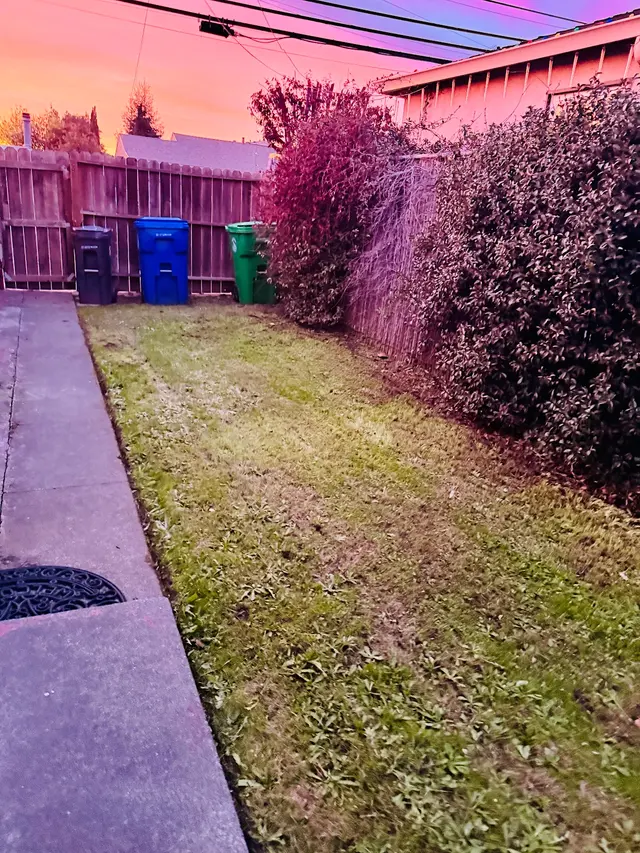 Lawn Love Lawn Care of San Jose — customer photo 8