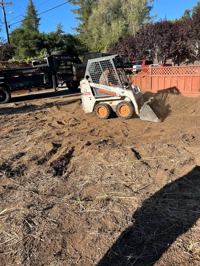 Carlos Monterrosa Gardening Service & Landscaping — photo from the business 8