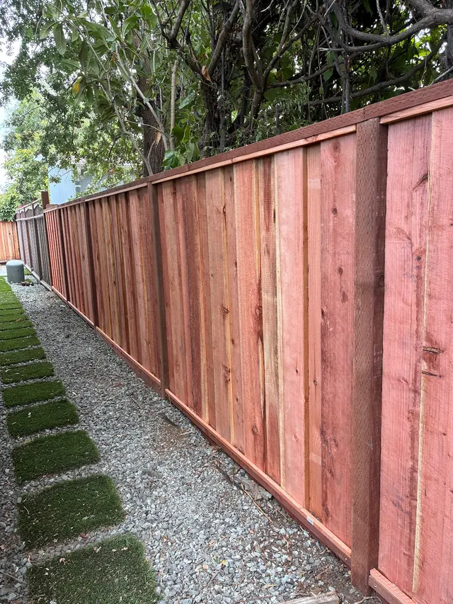 Carlos Monterrosa Gardening Service & Landscaping — customer photo 6