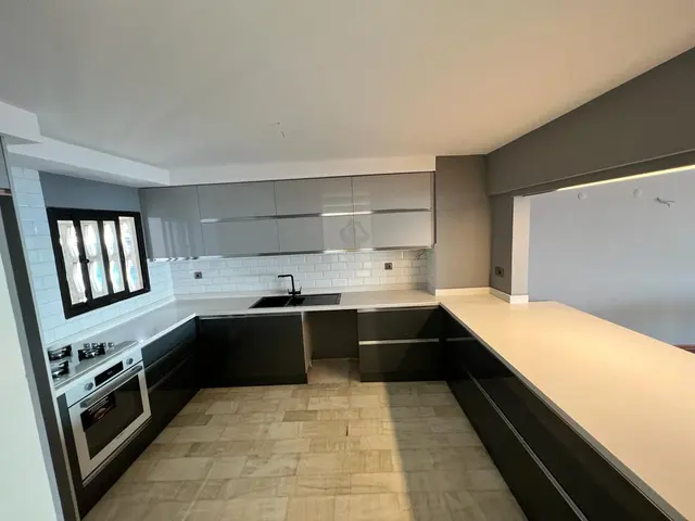 Lion Cabinets Countertops Remodeling — customer photo 8