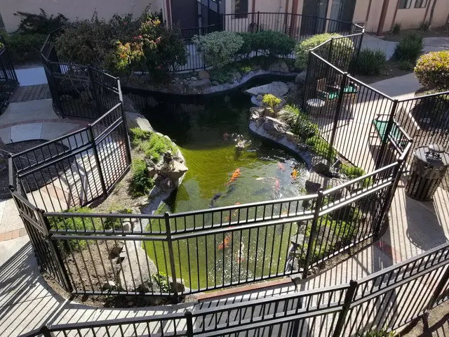 The Montera — customer photo 5