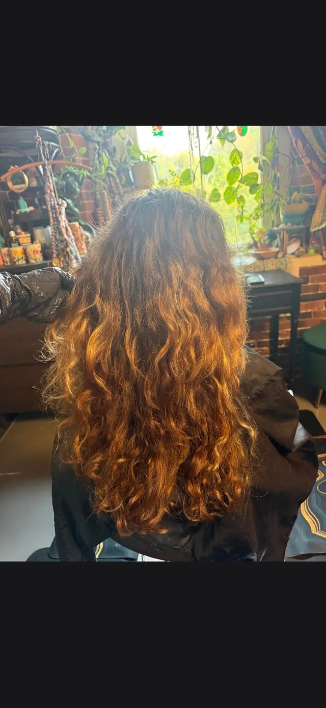 Customer photo of work by The Moonsage Studio Salon and Scalp Spa Sanctuary, from Christina Connor (Cha Nuit)'s review
