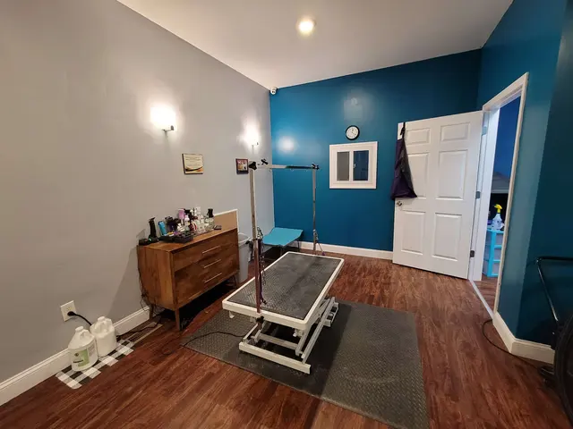 Transfurmations Dog Spa — photo from the business 3