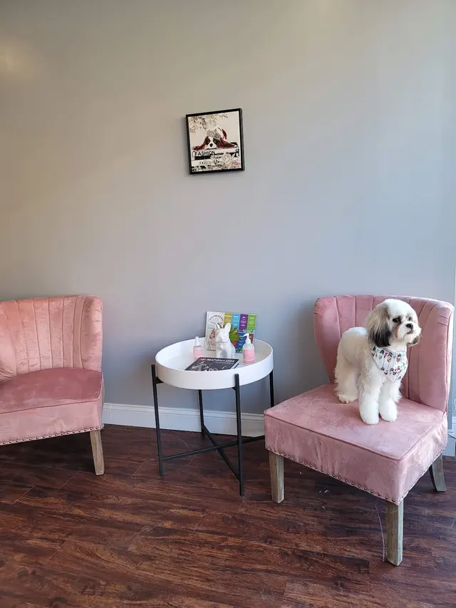 Transfurmations Dog Spa — photo from the business 5