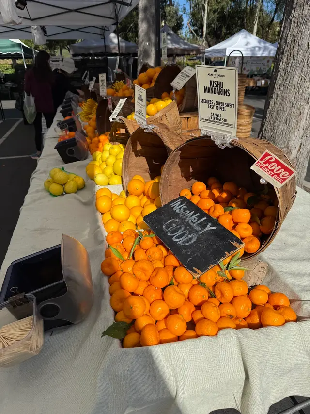Saturday Farmers Market — customer photo 12