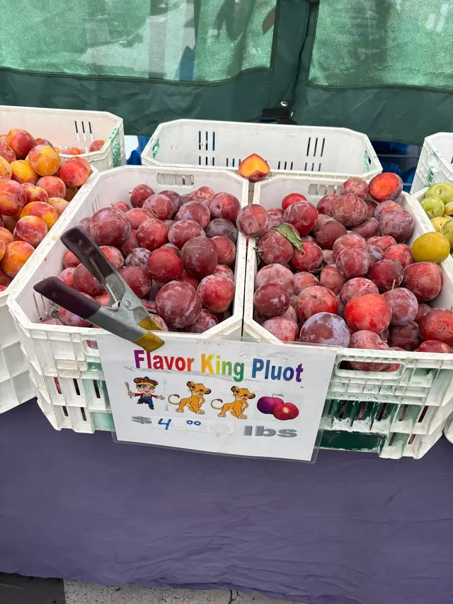 Customer photo of work by Saturday Farmers Market, from kebiraj S's review