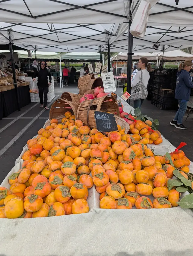Saturday Farmers Market — customer photo 5